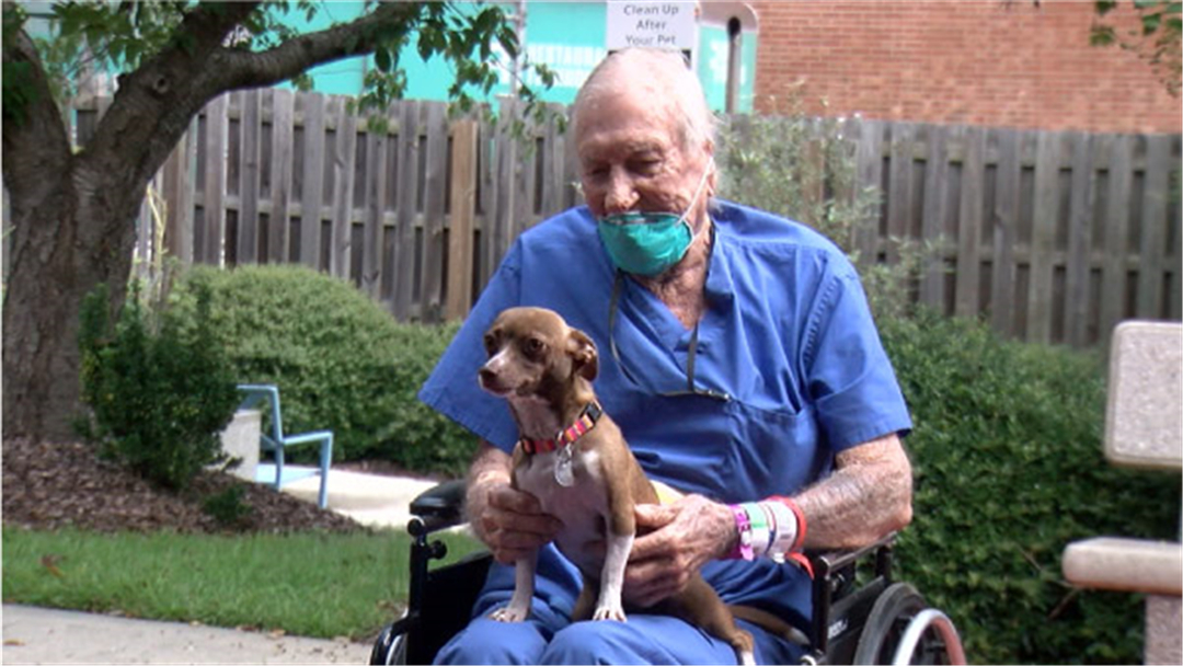 七旬老人突发疾病及时获救,吉娃娃生病了全集