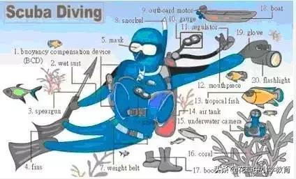 34张图教你记住英语中所有生活用词，一天记一张，一个月搞定