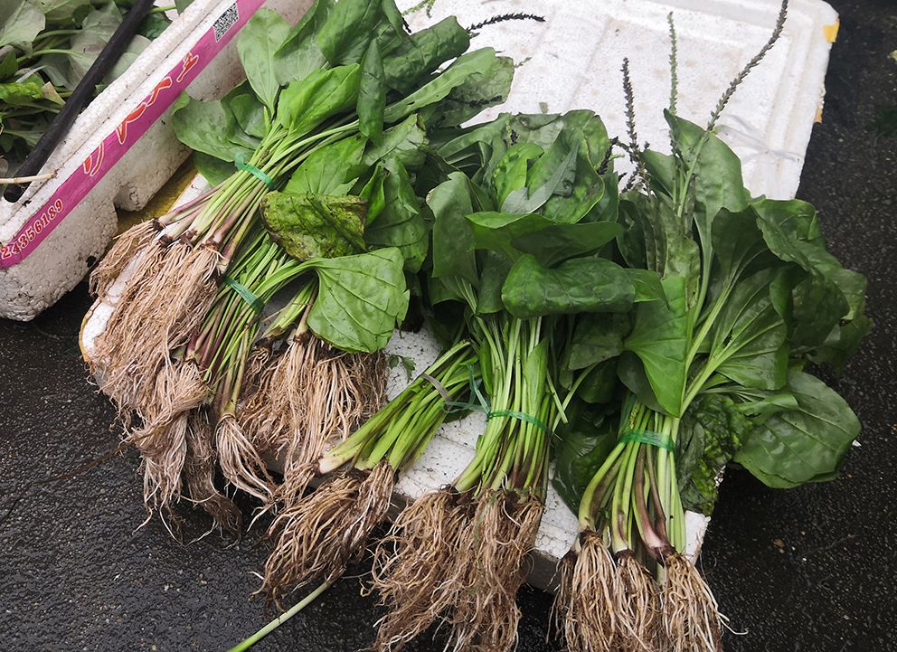 农民卖野草赚钱吗,河南大妈摆摊卖街头小吃