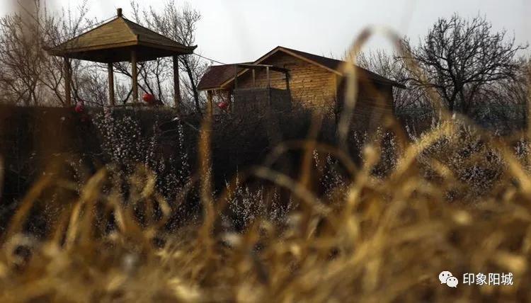 晋城哪里可以春游,晋城附近春游景点