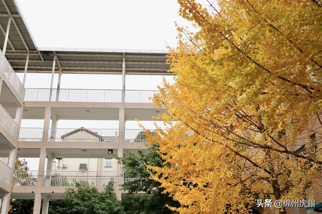 绵外20年校庆,20年前的今天