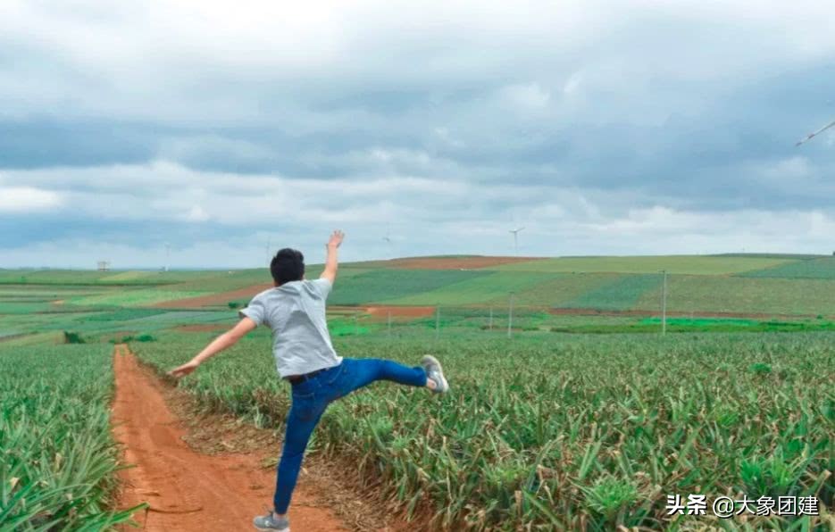 湛江菠萝海在哪个地方,湛江的菠萝海在哪里