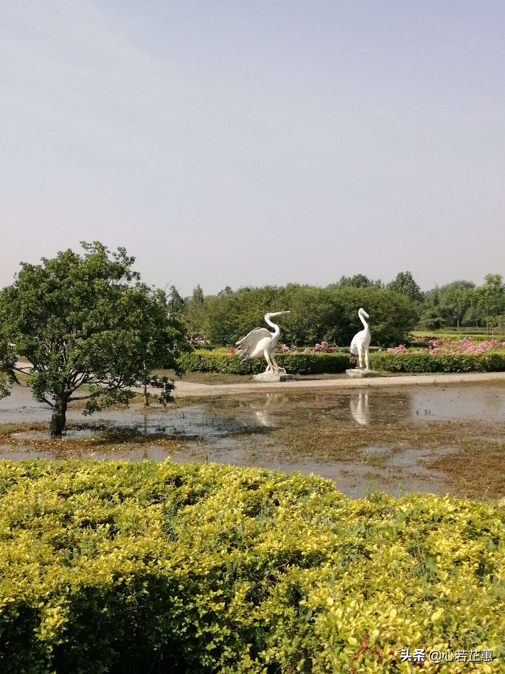 涓浗鍥涘ぇ鍚嶆ゼ鍒嗗埆鍦ㄥ摢,涓浗鐜颁唬鍘嗗彶涓婄殑鍥涘ぇ鍚嶆ゼ
