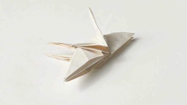 杭州95后小伙折纸山海经千纸鹤,日本折千纸鹤的纸