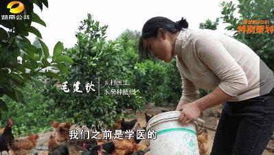 湖南医生夫妻不务正业，租380亩山投600万，8年后成“水果大王”