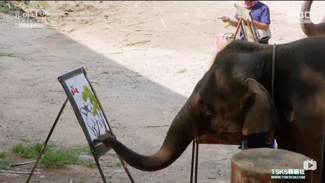 韩国寄生虫深度解析,寄生虫韩国结局