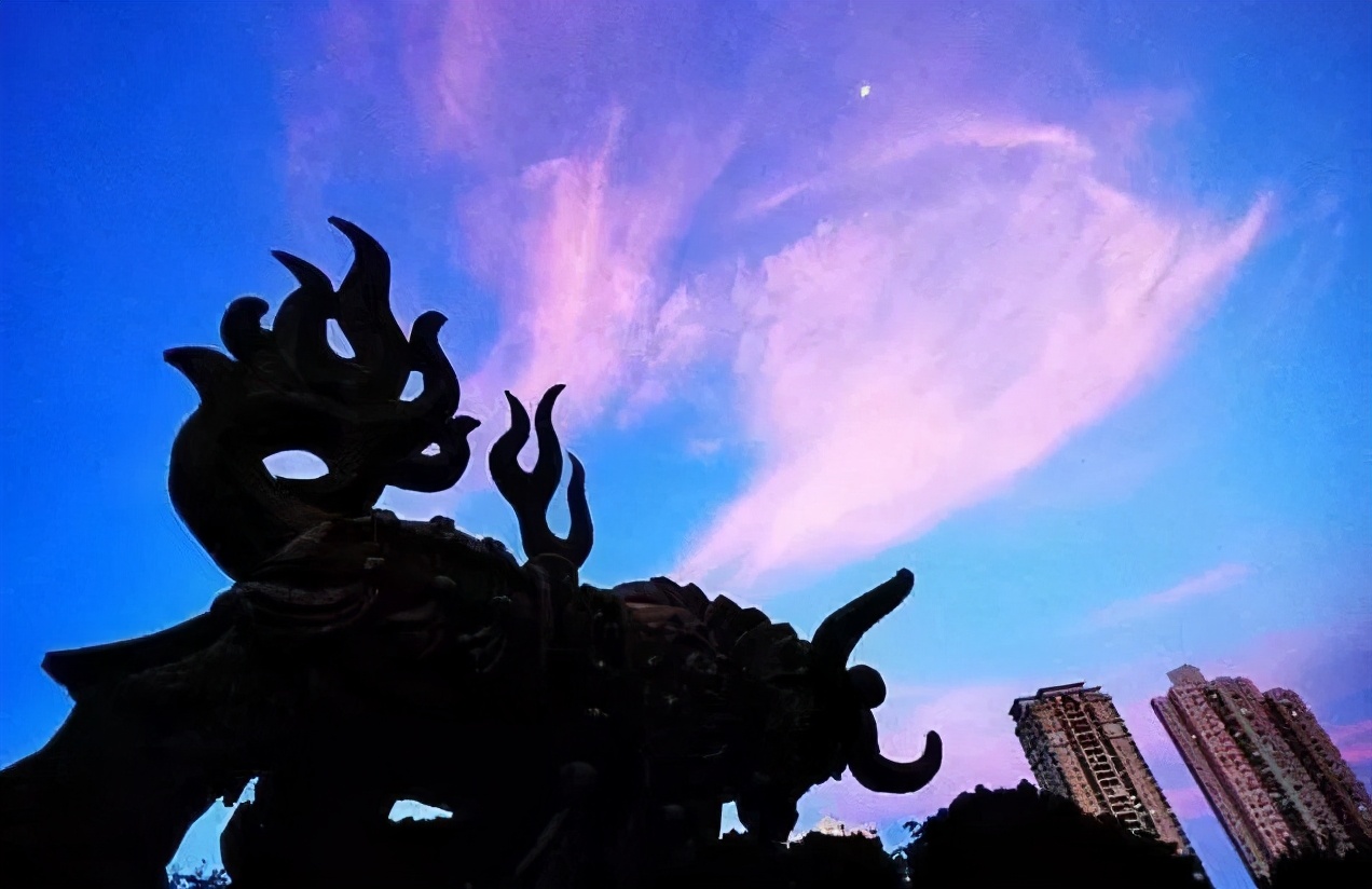 深圳免门票景点推荐,深圳市内近20个景点一票通玩