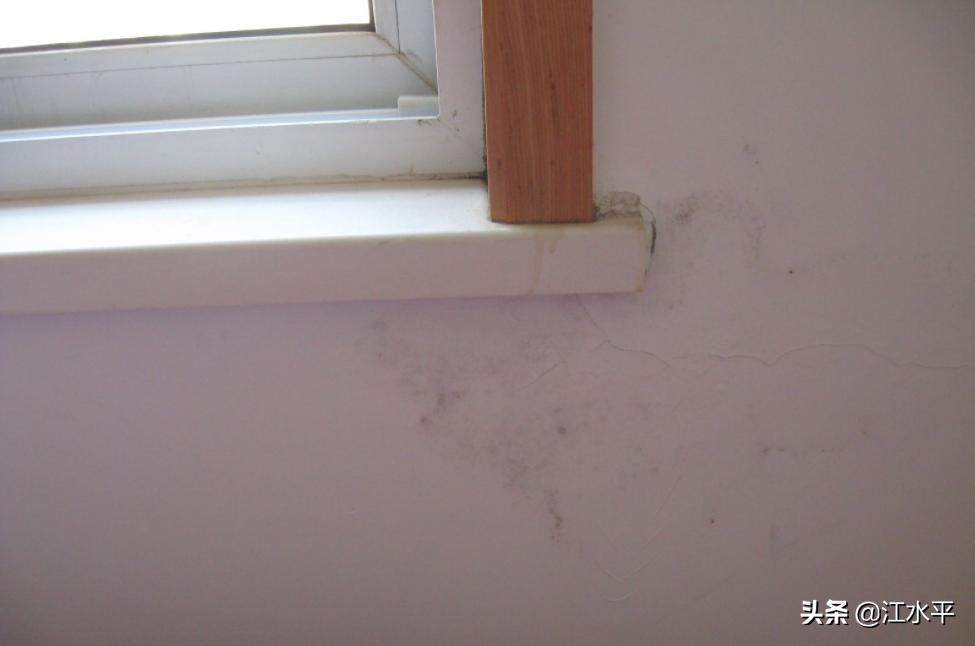房子墙上起霉点什么原因,房子墙根有霉点是什么原因导致的