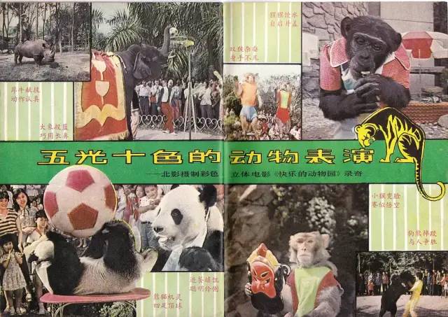 侠女十三妹电影完整大结局,侠女十三妹电影剧照