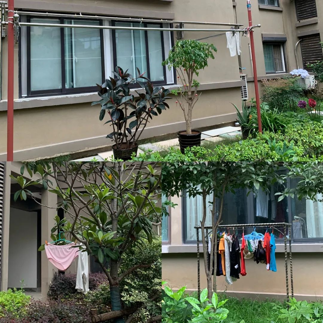 殴打业主处理结果,殴打业主