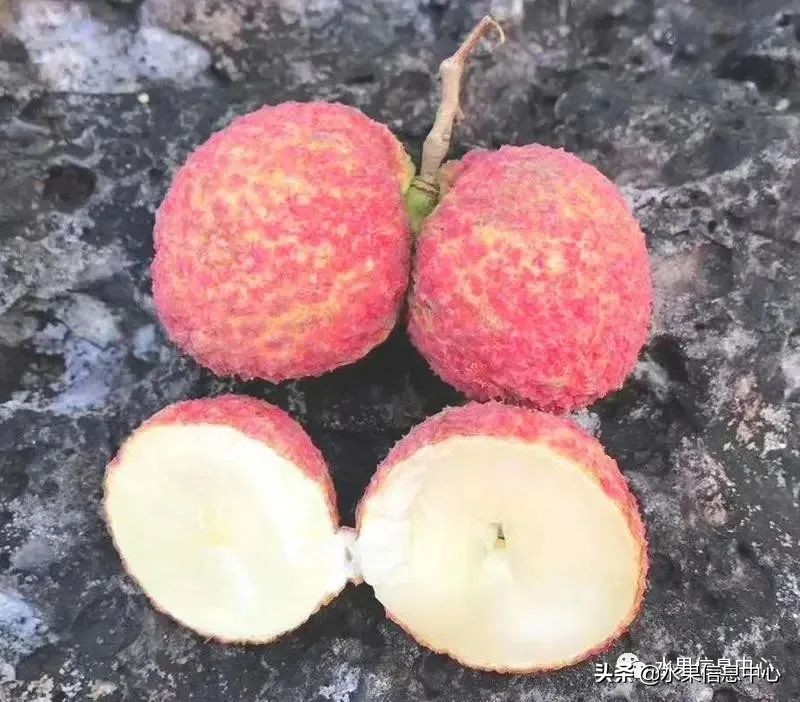 水果天堂：海南水果品种及上市时间表