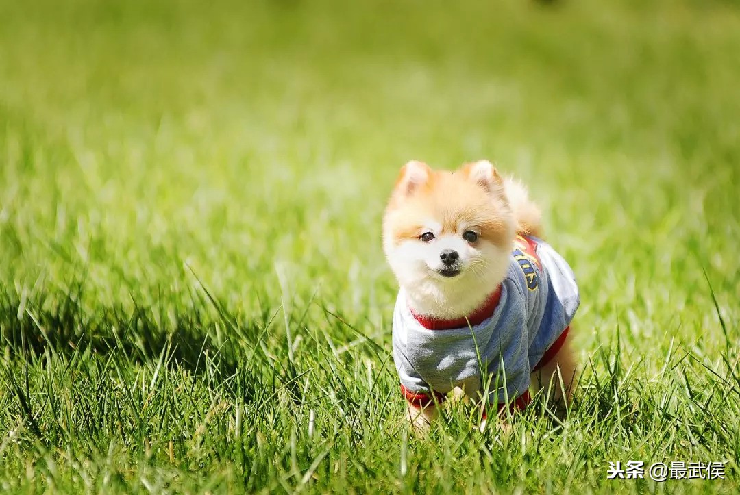 在哪里买东西又好又便宜？2018成都最全批发市场合辑来了