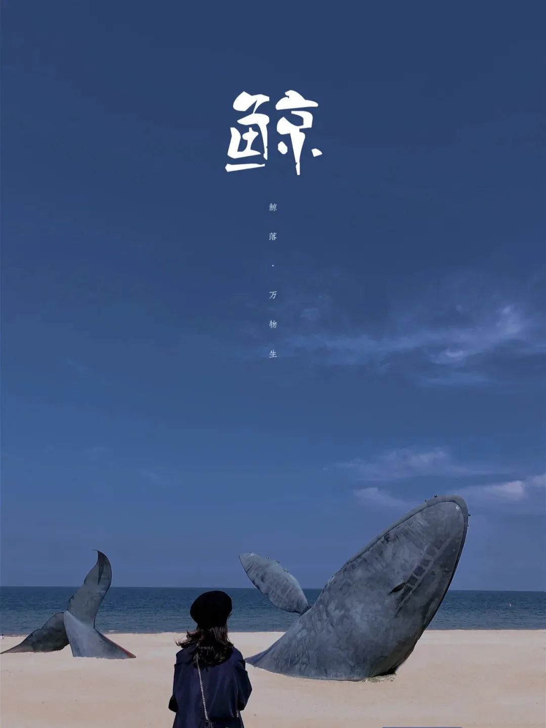 3天2夜游！它是被低估的海滨小城，藏着独属于11月的盛大美景|冬游齐鲁