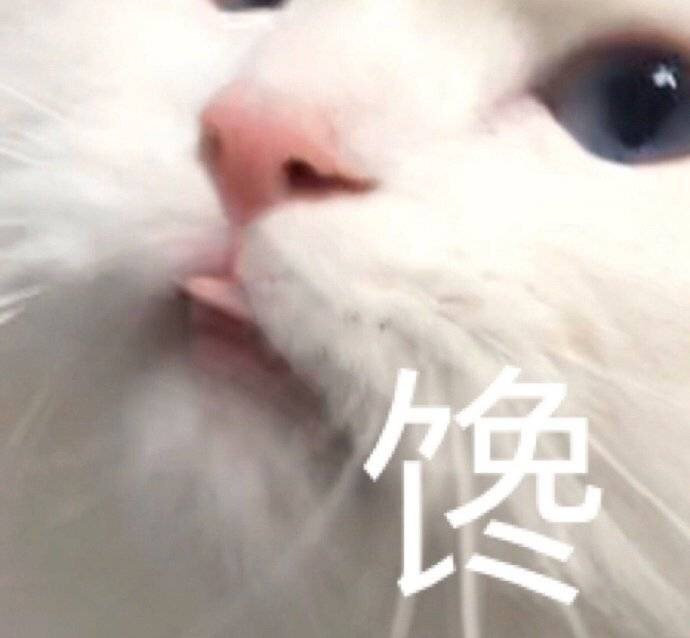 表情包大全可爱简单,可爱表情包我就是个不争气的东西