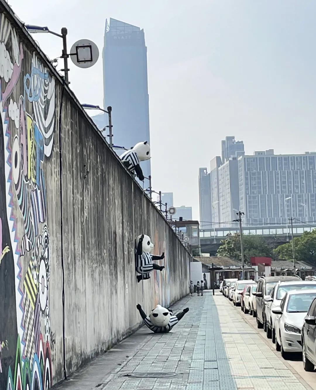 安徽省会，越来越好玩了｜地球知识局