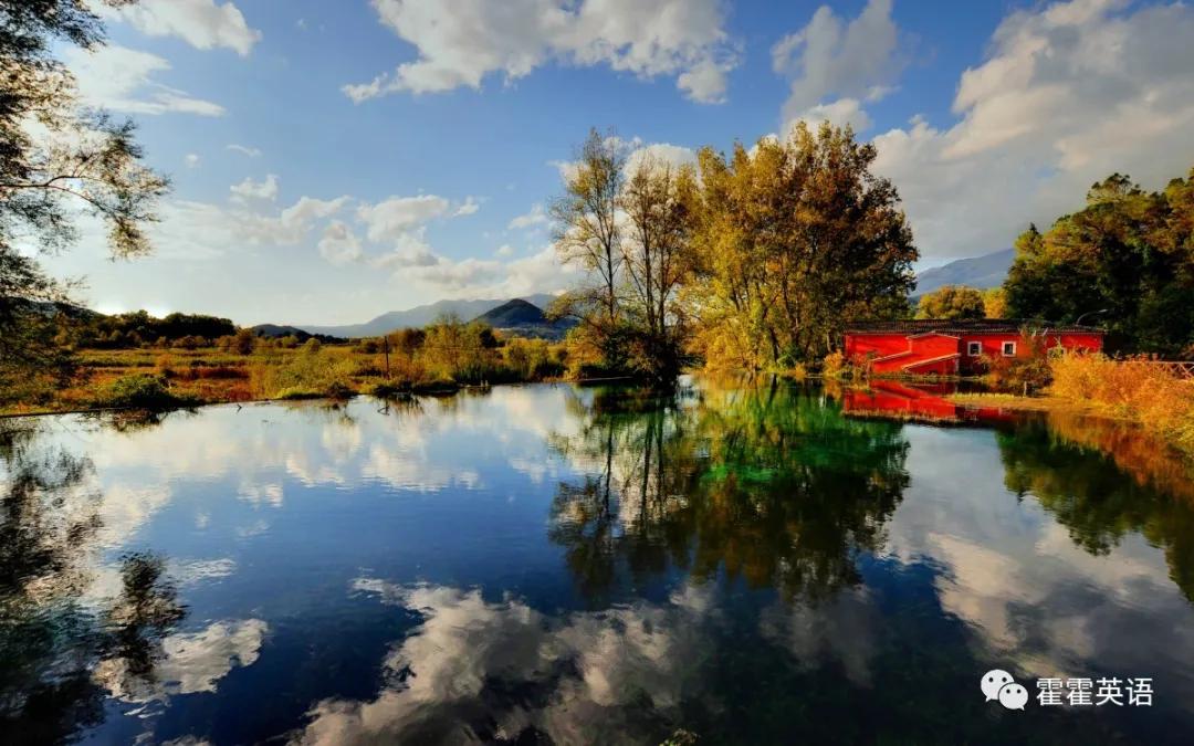 无灵主语句的用法,无灵主语句