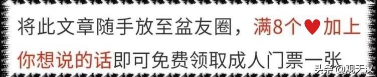 汉中恐龙乐园免费地点,汉中恐龙乐园门票