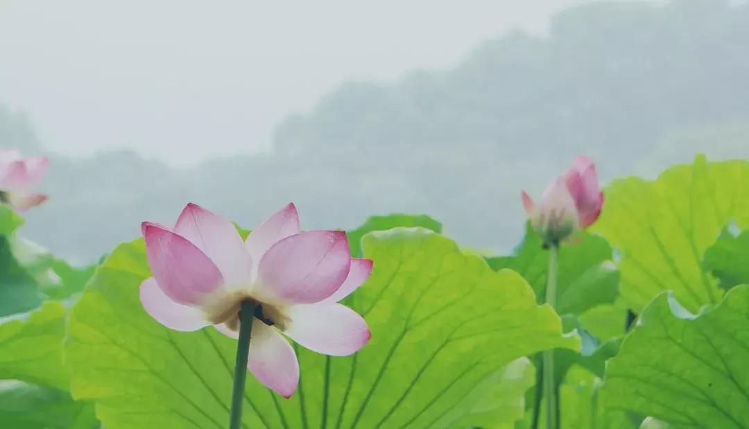 天津旅游必去十大景点天津美食,天津旅游攻略必玩的景点小吃