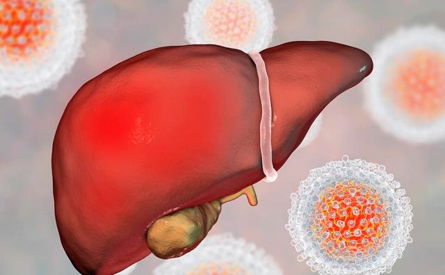恩替卡韦是taf还是tdf,乙肝抗病毒恩替卡韦哪个厂家好