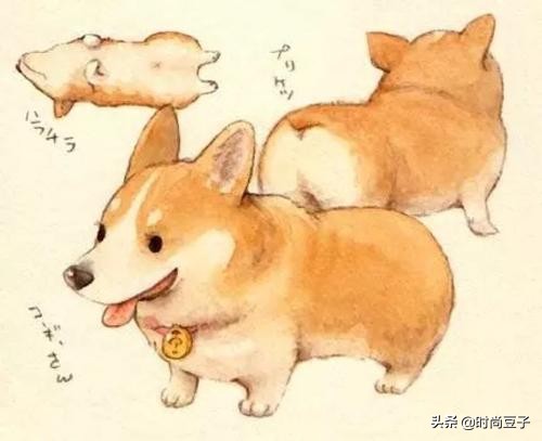 油痘肌推荐保湿定妆喷雾,油痘肌修复喷雾推荐测评