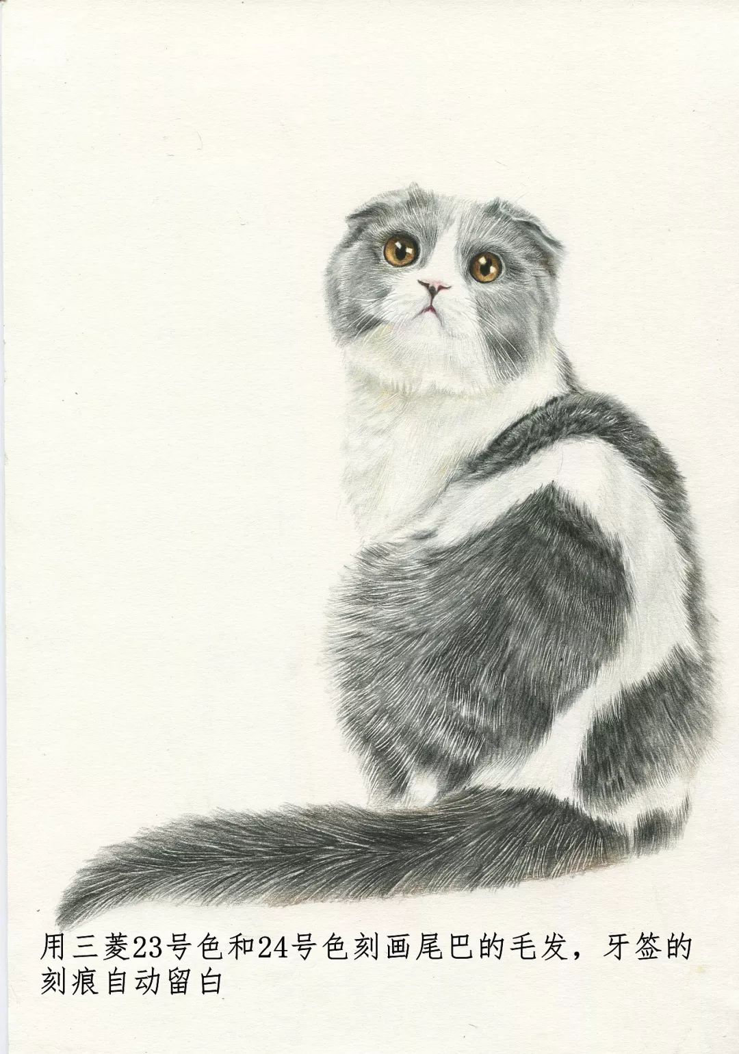 素描动物入门知识,素描动物简单入门教程狗