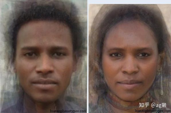 「世界人类图鉴」人类的摇篮：撒哈拉以南非洲居民的平均脸