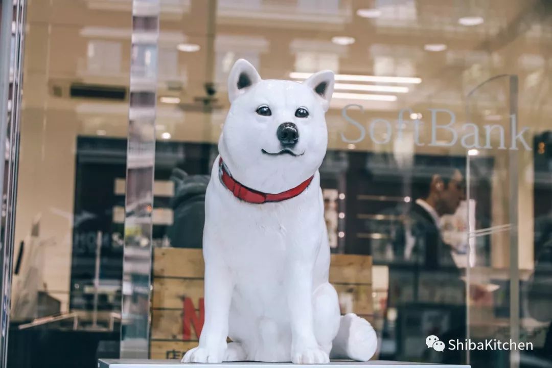 表参道和代官山的距离,表参道代官山店几点开门