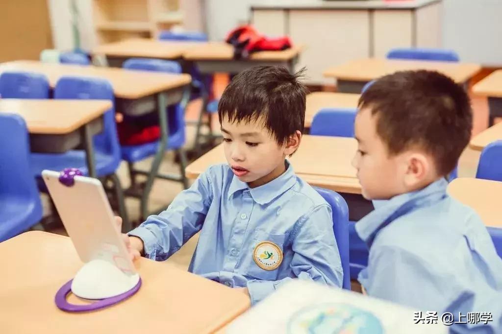 杨浦区小学对口地段,杨浦2022小学招生对口地段