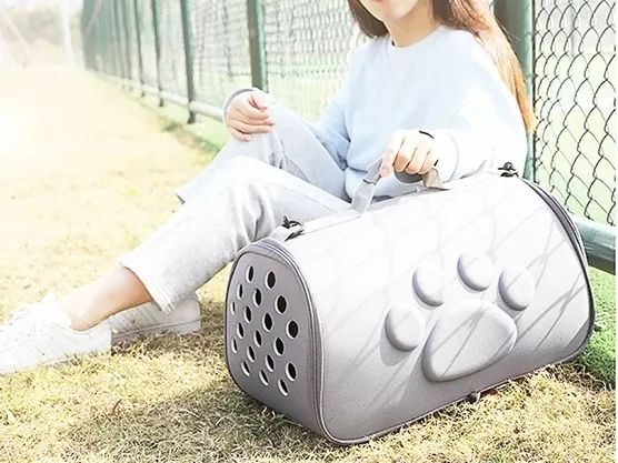 盘点致命的养猫玩具,猫咪新出网红用品