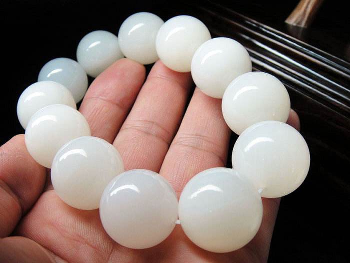 砗磲为何禁销,砗磲市场