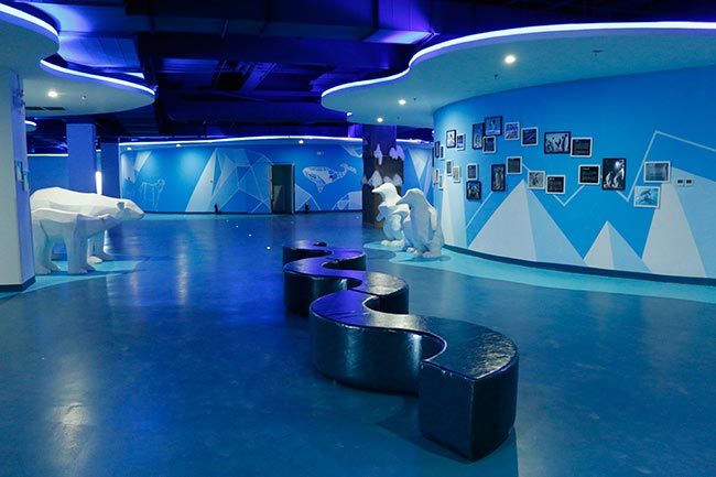 沈阳七星海世界乐园门票多少钱,沈阳七星海世界主题乐园开放时间