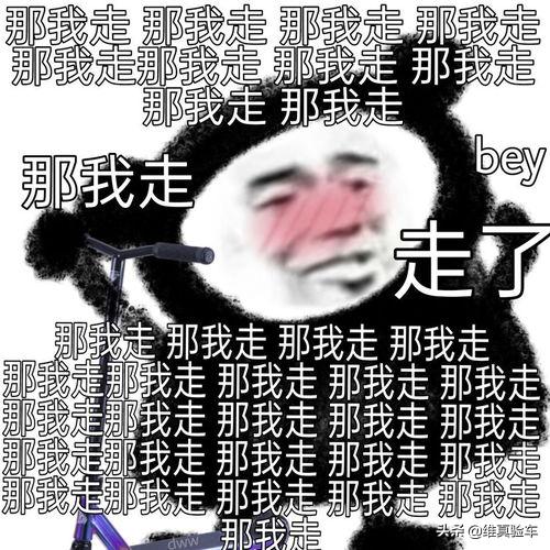 2018年甲壳虫值不值得买,小姐姐最爱的甲壳虫