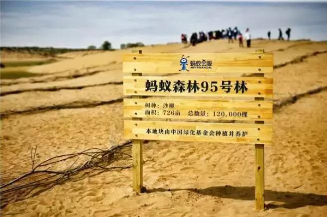 马云退休后的十大事件,马云退休后的真实状况