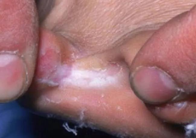 冀连梅药师可信吗,冀连梅问药师公众号