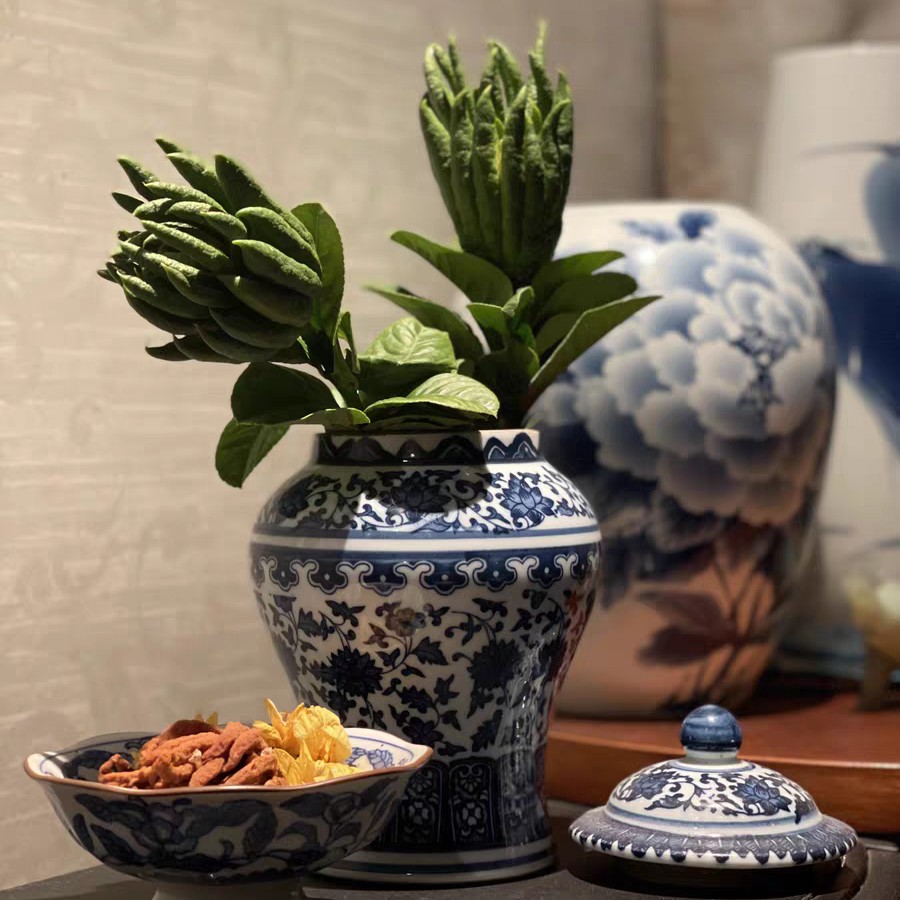 小时候怎么没听说过佛手瓜,佛手瓜和佛手不是一种东西吧