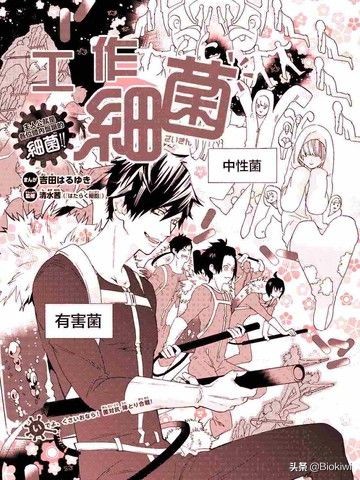 你不只是人，还是一个“超级生物体”