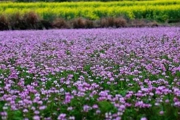 户撒佛祖的后花园现在怎么走,户撒为什么叫佛祖后花园