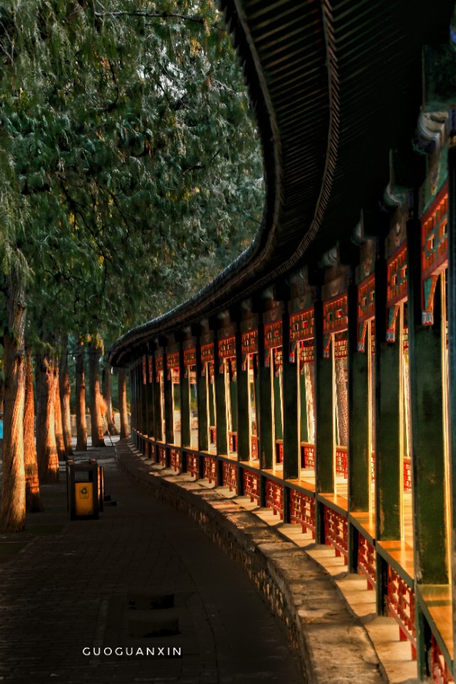 《晨辉情未了，光影长廊再写意》