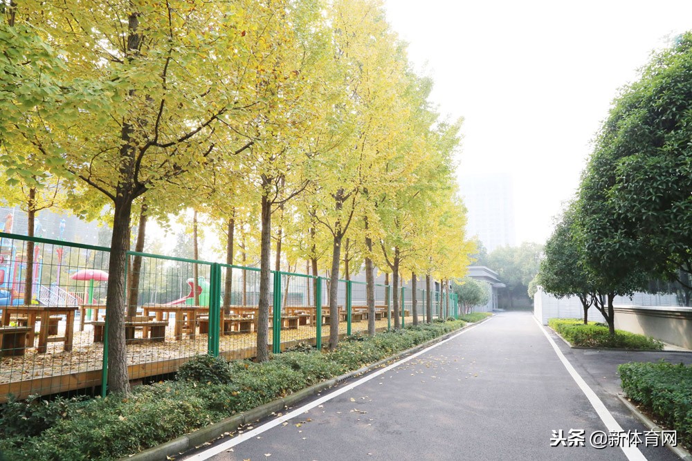 健身去哪儿,全国健身体操