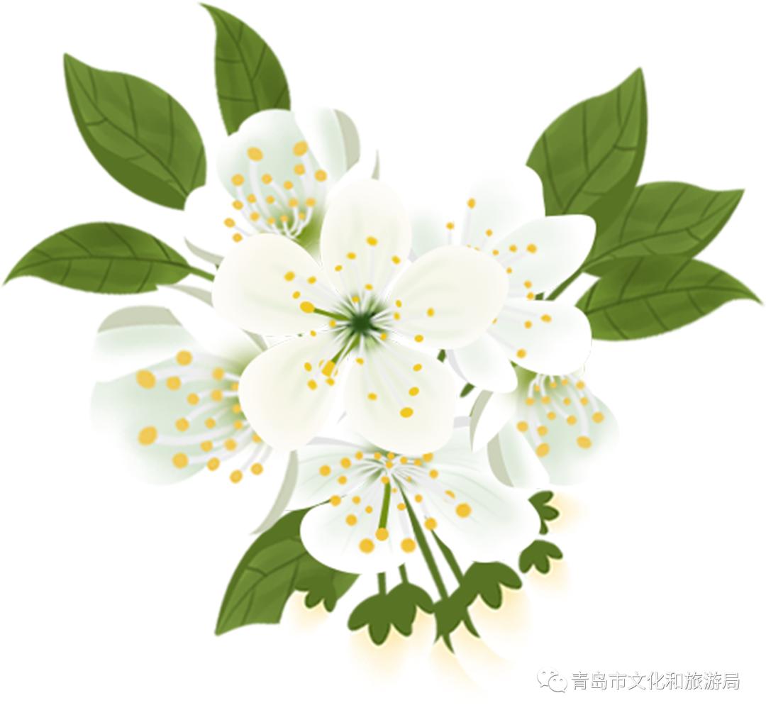 识花赏花学知识,赏花识花学知识