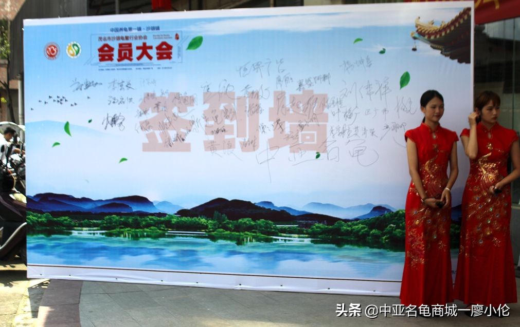 沙琅龟协会,沙琅乌龟协会