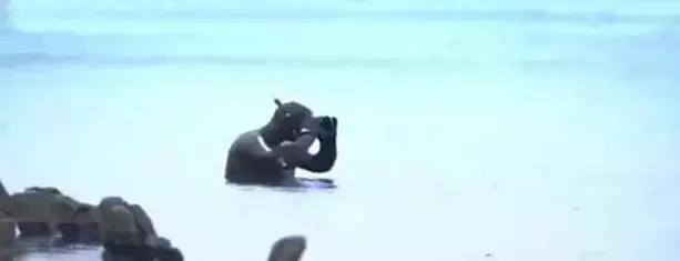 俄罗斯琥珀可以带回国吗,在俄罗斯哪里能买到蜜蜡