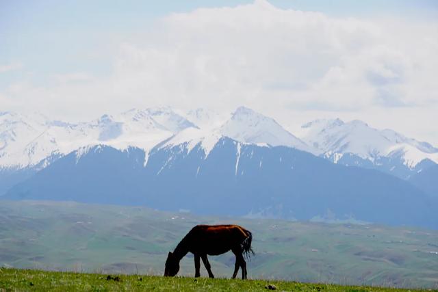 世界级品牌摄影天堂*疆新**，这12个地方是必去的