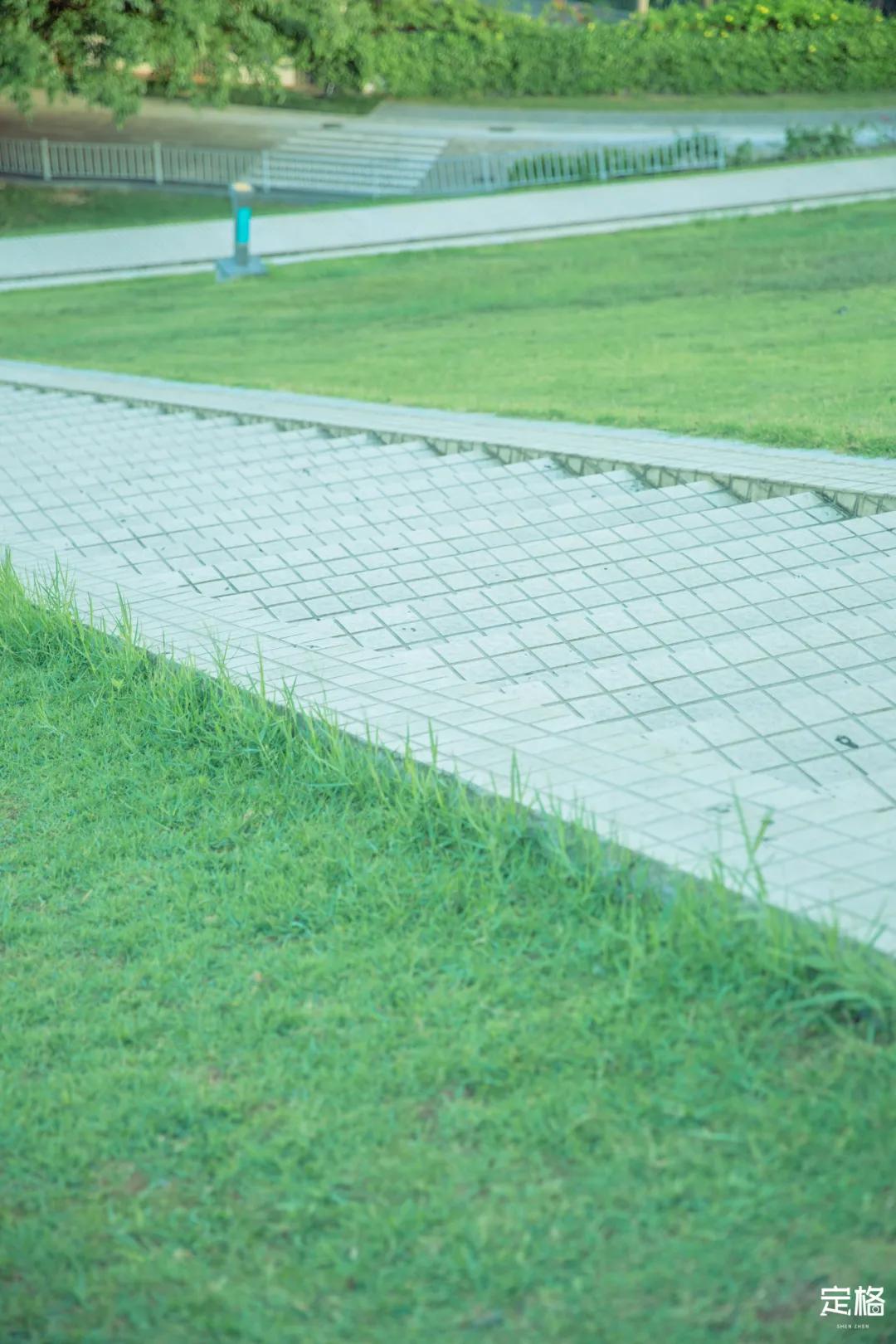 深圳梅林水库有山溪吗,深圳梅林水库在哪个区