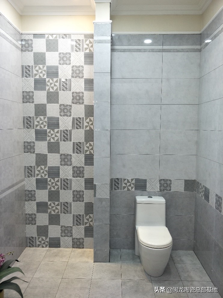 闽龙集团瓷砖,闽龙瓷砖