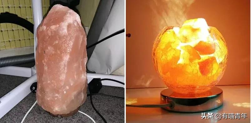 猫咪绿萝中毒会死吗,家里的绿萝在养猫之后死完了