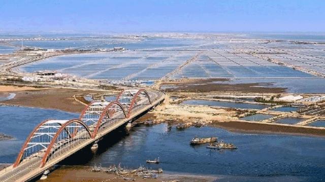 别再神话这里的教育了，天津生态城上学买房深度拆解