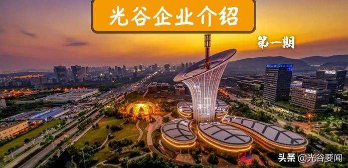 武汉光谷的大企业,武汉光谷知名企业天马微电子