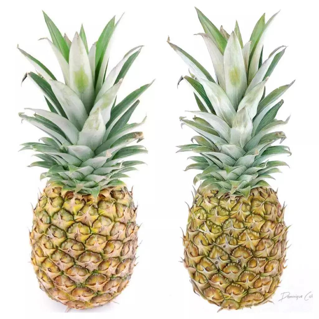 画得比实物好看,彩铅怎么样能画好看