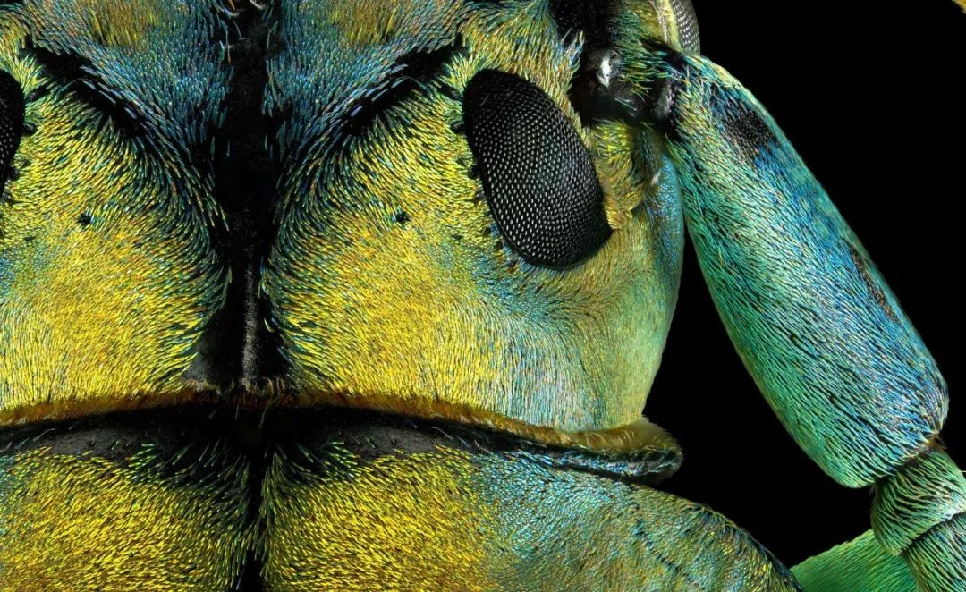 2亿像素和4800万像素的画质哪个好,像素高就一定好吗